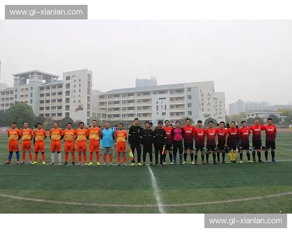 全面解析九人制足球竞赛规则要点与实战应用技巧综合提升实用指南